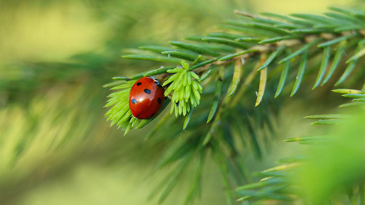 如何下载WPS软件？全程指南：离线安装教程及无需网络安装包准备与部署技巧2025年 二
