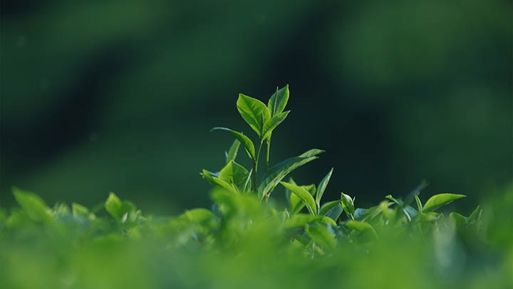 WPS刚下载在哪里找？快速指南帮你轻松定位 二