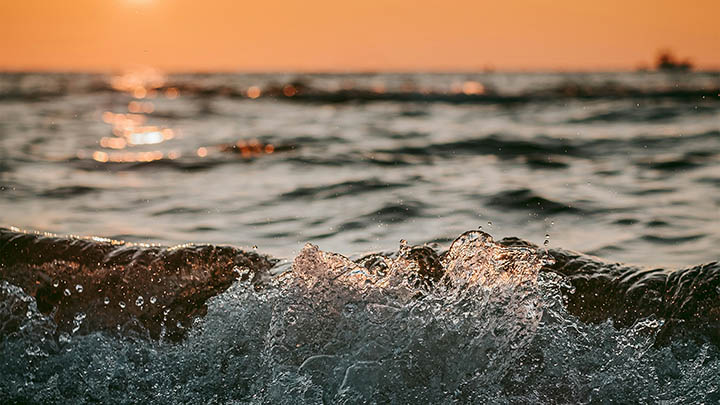 WPS如何下载检索历史：3个简单步骤详解 二