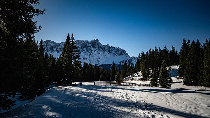 WPS如何下载单元格？轻松密技大揭秘！ 二