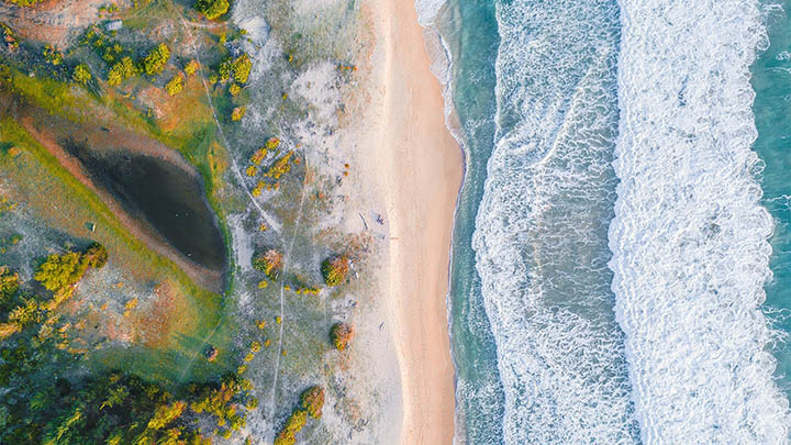 WPS如何下载？官方渠道快速指南 二