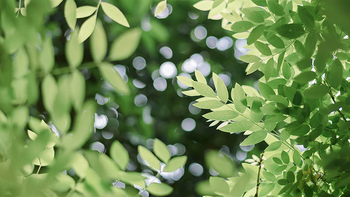 禁用WPS热点功能+详细设置教程 二