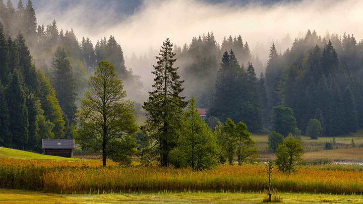 WPS如何下载：快速获取免费办公软件的三步流程 二