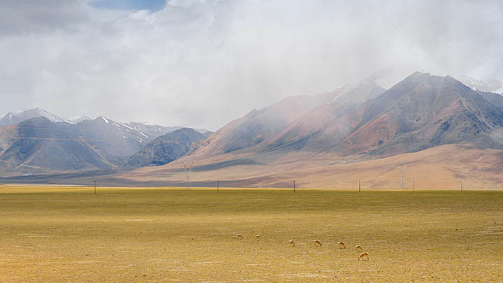 WPS学堂下载失败/无法安装/资源未找到全解决方案 二