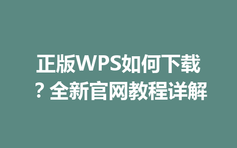 正版WPS如何下载？全新官网教程详解 一
