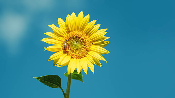 如何快速装WPS？离线下载路径解析+本地安装实战教程 二