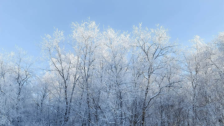 外国WPS如何下载？全网最全操作指南！ 二