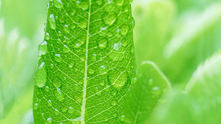 WPS如何对应下载？全平台适配与安装问题详解 二