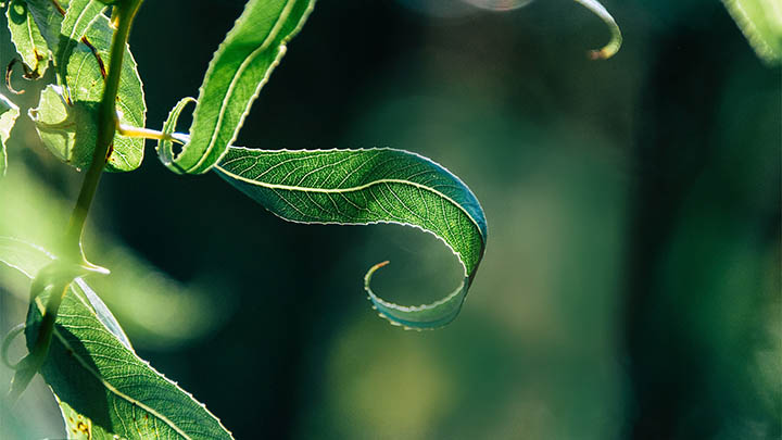 教你如何下载WPS，这些简单方法不能错过 二