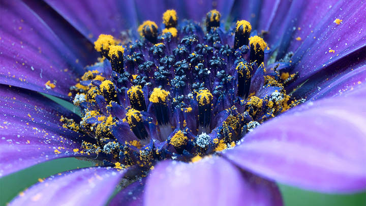 如何WPS上下载？详细教程及快速操作指南 二