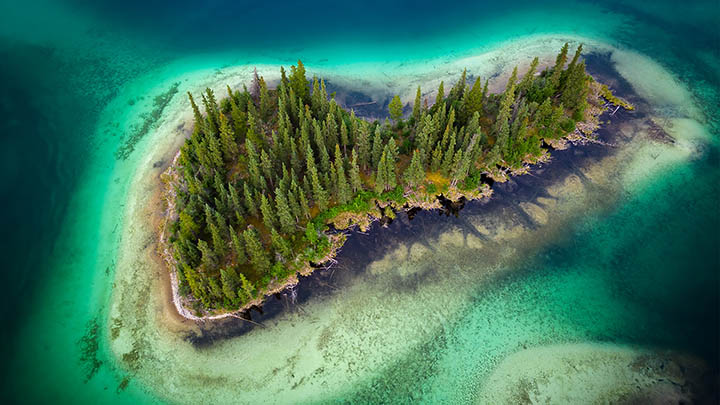 WPS如何下载PDF？超全操作指南 二