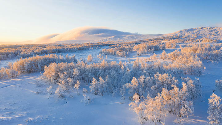 免费WPS下载：安全获取安装包只需3步 二