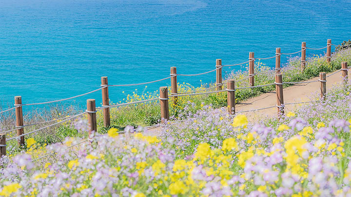 WPS下载与使用全教程，新手老手都适用！ 二