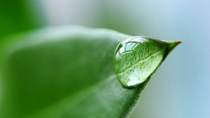 WPS如何下载共享：3个实用方法轻松解决 二