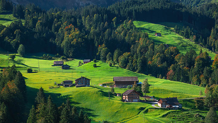 正版WPS如何下载？全新官网教程详解 二