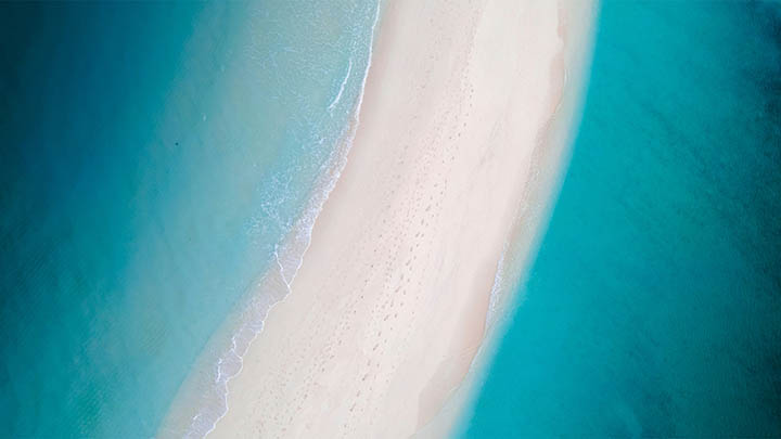 WPS下载原文难题？云端共享+旧版资源双解决方案 二