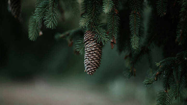 WPS Office下载全流程详解：快速安装指南 二