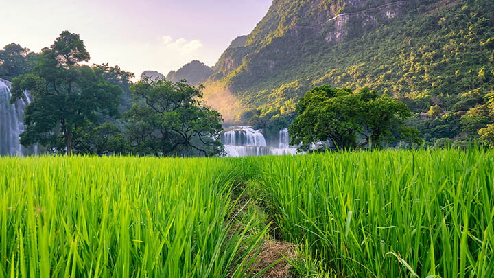 免费WPS下载详解：手把手教你轻松获取办公必备软件 二