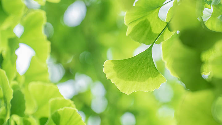 WPS如何重新下载官方版本？详细教程教你快速搞定Win/Mac适用 二