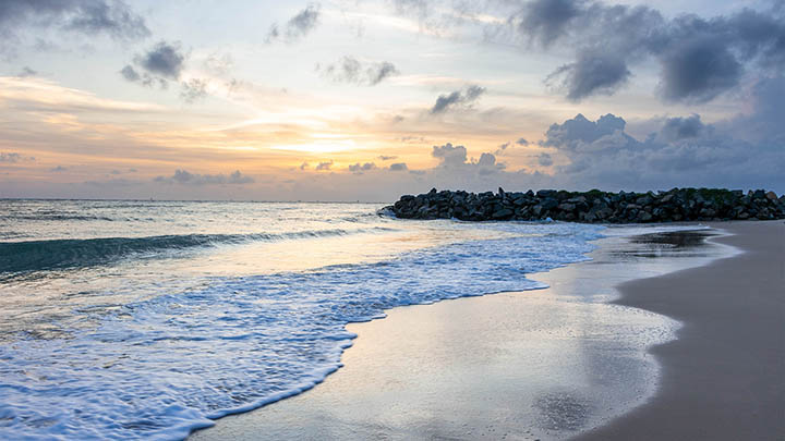 如何直下载WPS？在线直链指南+快速下载安装技巧 二