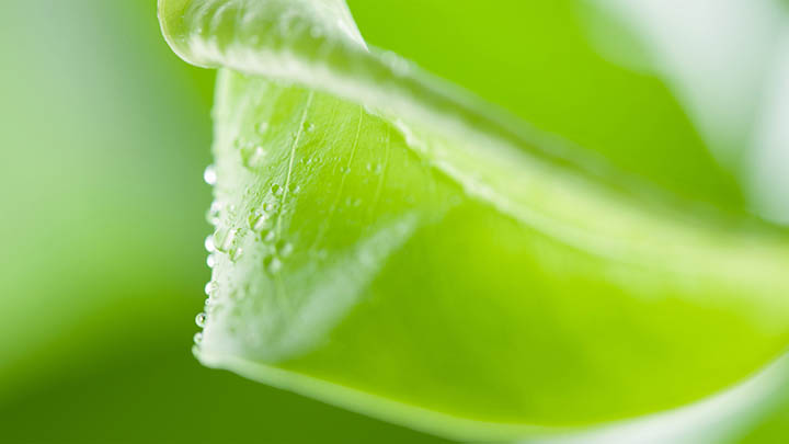 WPS正版如何下载？官方指南详解 二