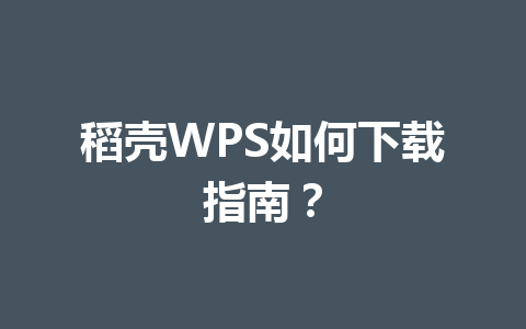 稻壳WPS如何下载指南？ 一