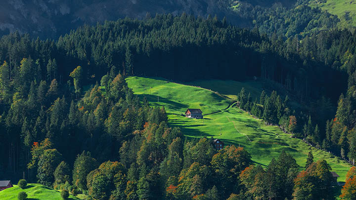 免费下载WPS？破解限制：区域设置+官方链接双攻略 二