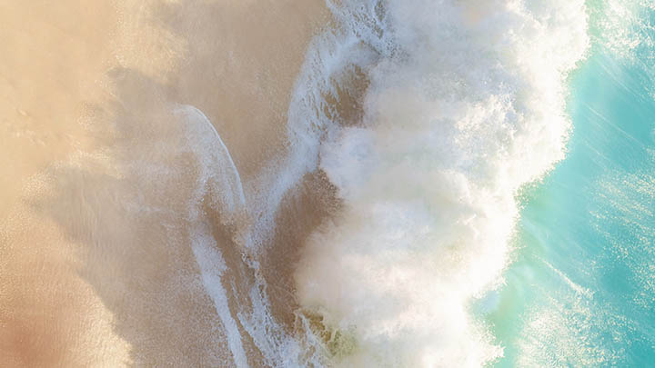 如何下载掉WPS：官方快速教程解析 二