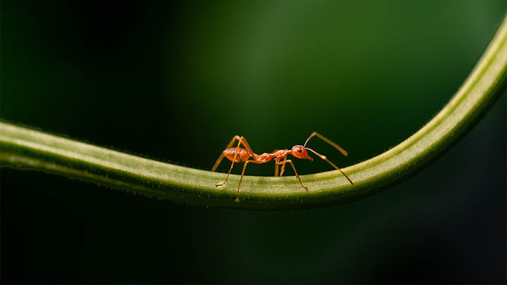 WPS插件下载安装教程：无法下载/安装失败/插件不显示全方位解决方案 二