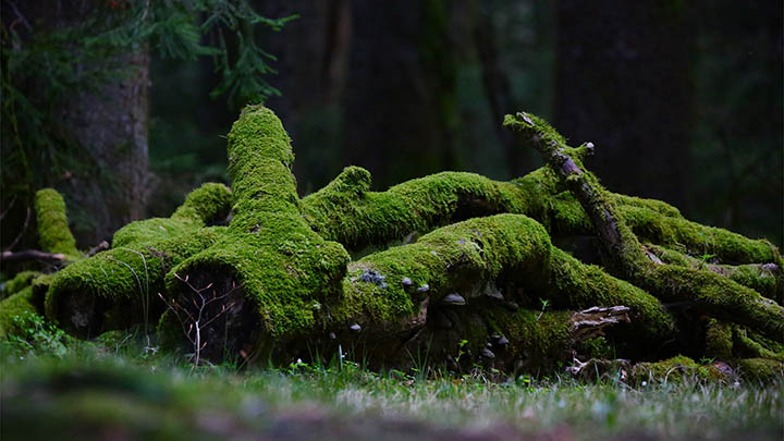 解锁难题：WPS云如何下载？代理加速器与云备份双重选择！ 二